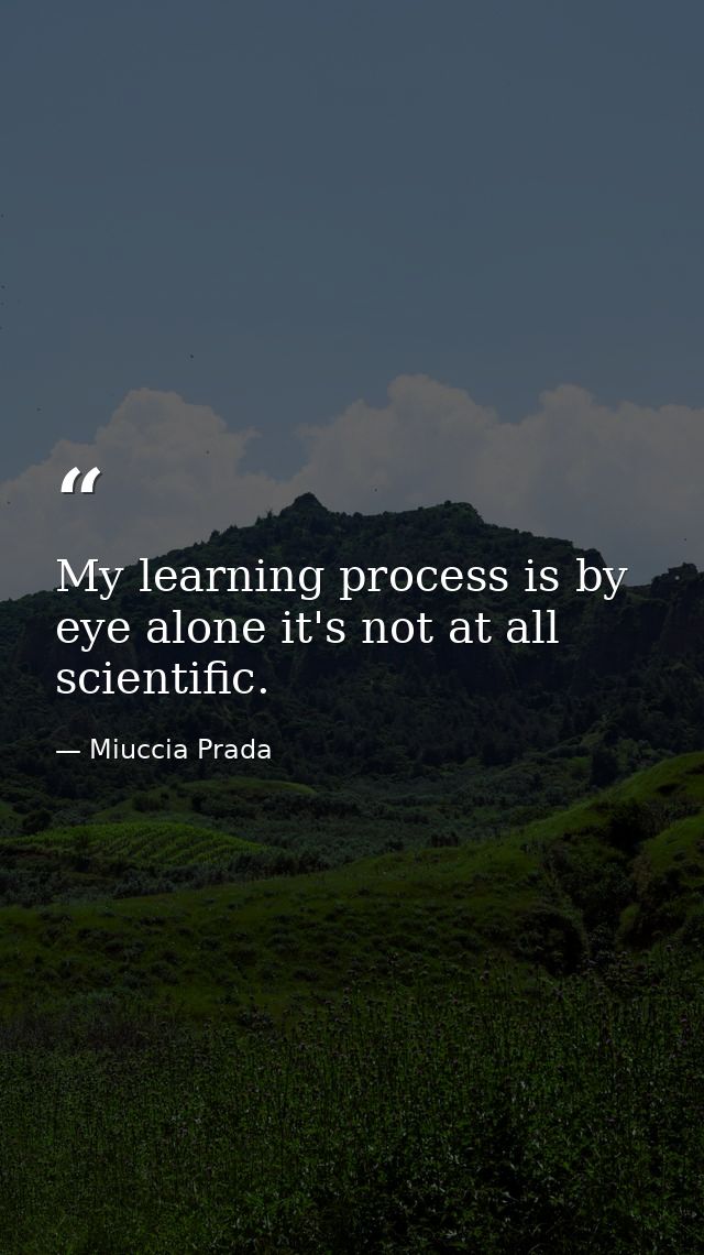 My learning process is by eye alone it's not at all scientific. — Miuccia Prada