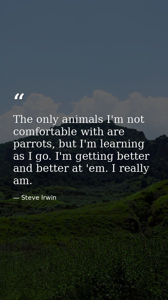 The only animals I'm not comfortable with are parrots, but I'm learning as I go. I'm getting better and better at 'em. I — Steve Irwin