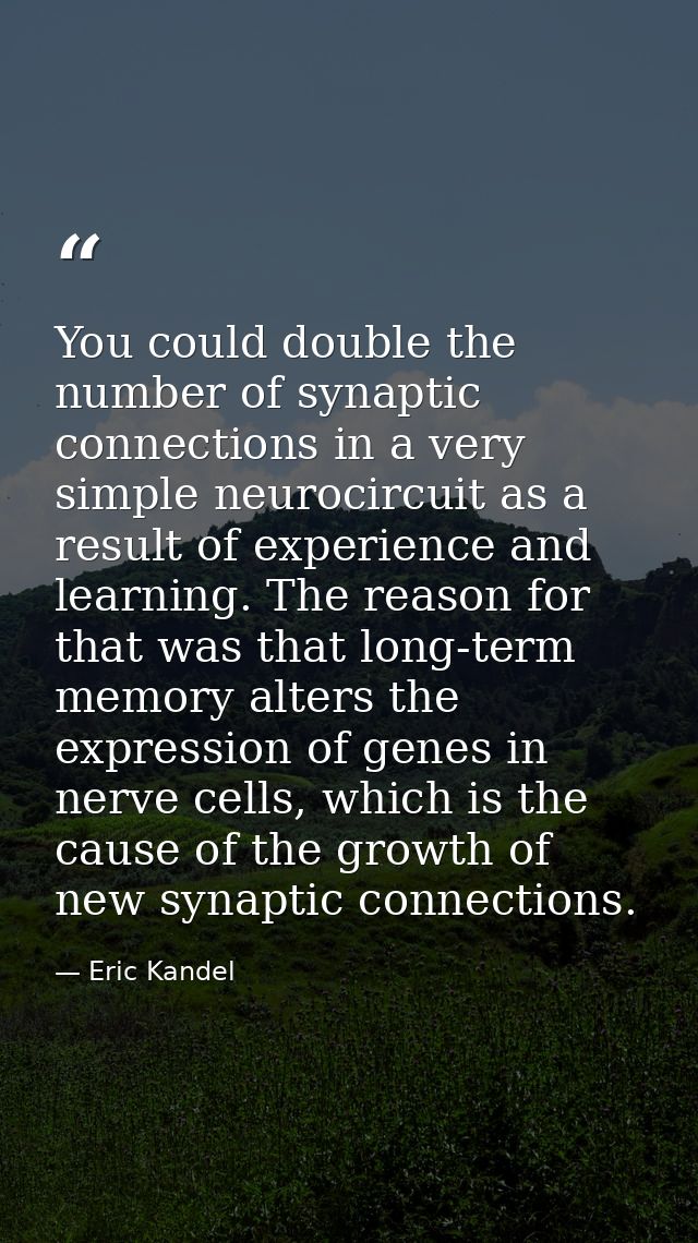 You could double the number of synaptic connections in a very simple neurocircuit as a result of experience and learning — Eric Kandel