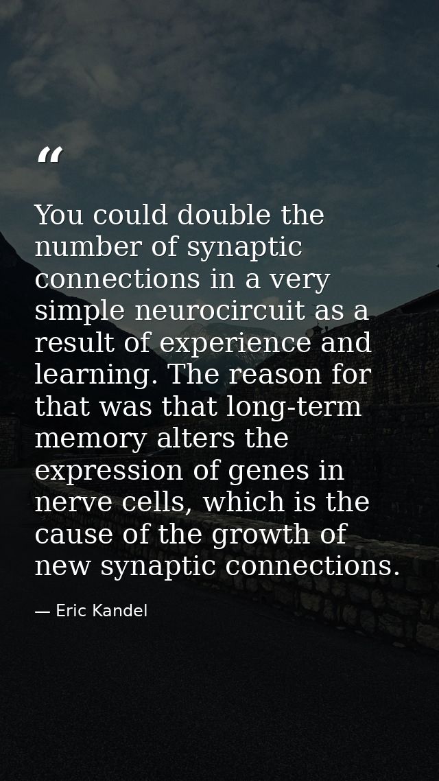 You could double the number of synaptic connections in a very simple neurocircuit as a result of experience and learning — Eric Kandel