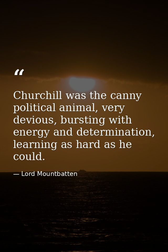 Churchill was the canny political animal, very devious, bursting with energy and determination, learning as hard as he c — Lord Mountbatten