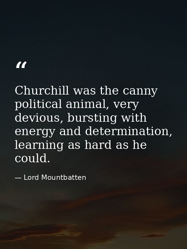Churchill was the canny political animal, very devious, bursting with energy and determination, learning as hard as he c — Lord Mountbatten