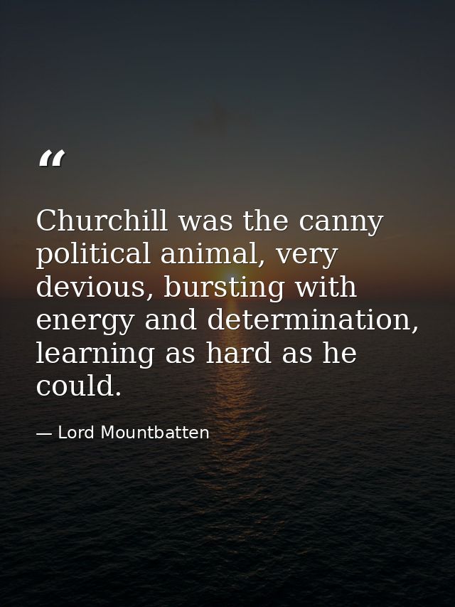 Churchill was the canny political animal, very devious, bursting with energy and determination, learning as hard as he c — Lord Mountbatten