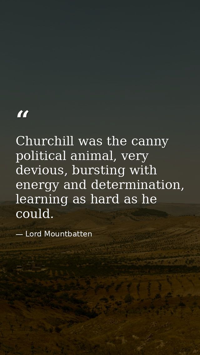 Churchill was the canny political animal, very devious, bursting with energy and determination, learning as hard as he c — Lord Mountbatten