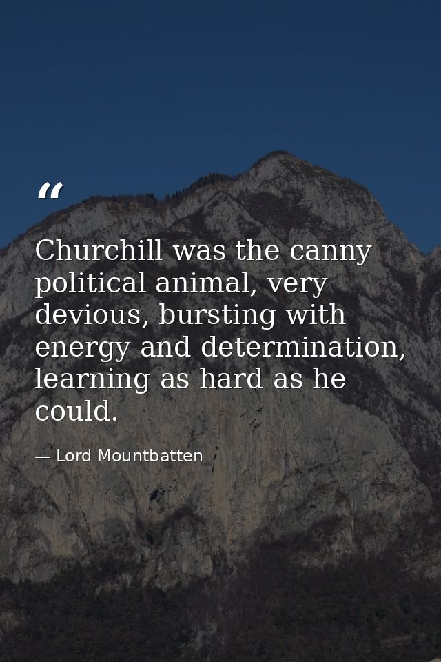 Churchill was the canny political animal, very devious, bursting with energy and determination, learning as hard as he c — Lord Mountbatten