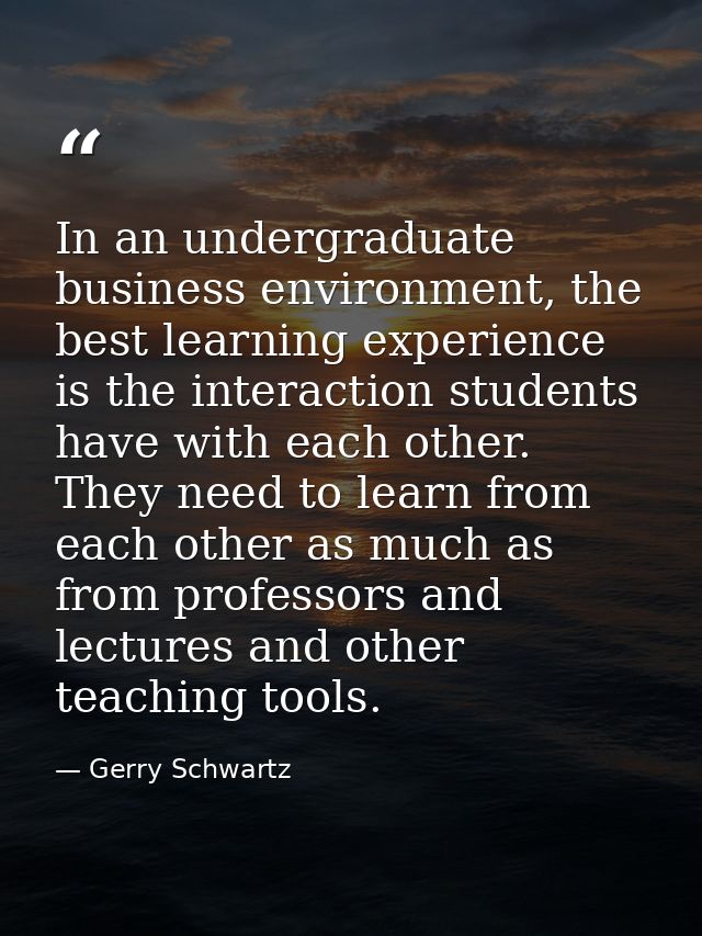 In an undergraduate business environment, the best learning experience is the interaction students have with each other. — Gerry Schwartz