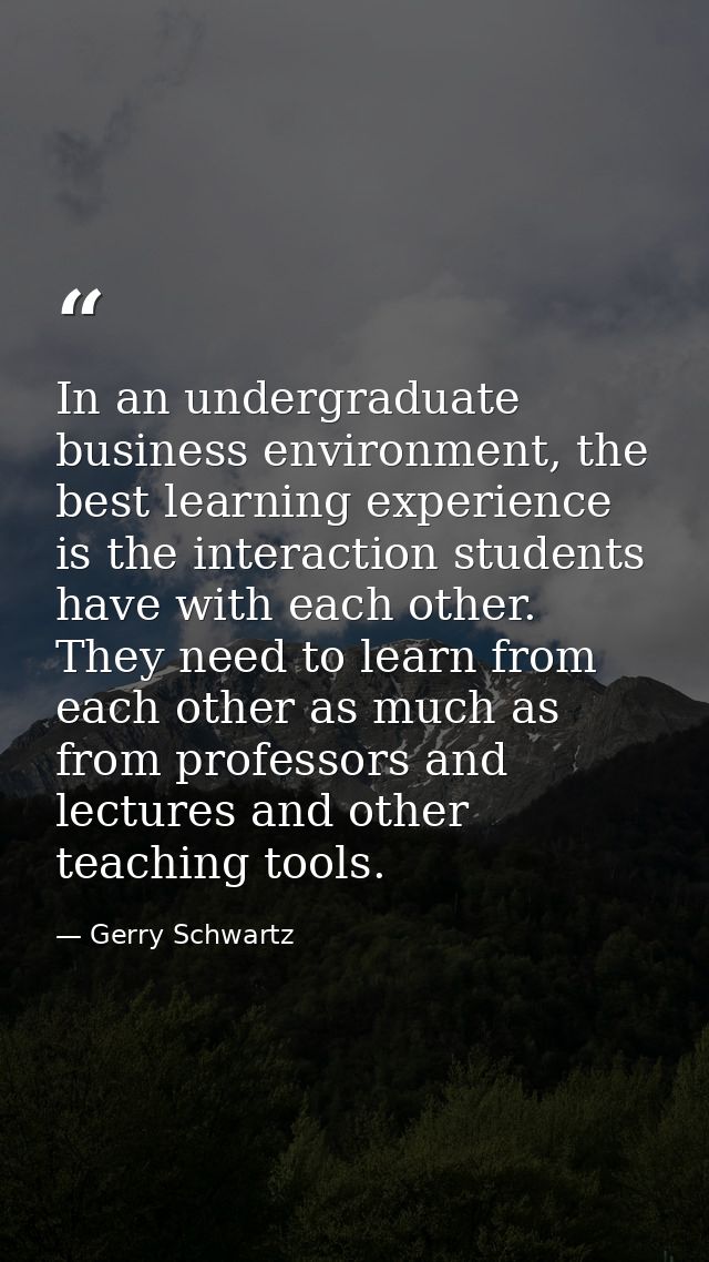In an undergraduate business environment, the best learning experience is the interaction students have with each other. — Gerry Schwartz