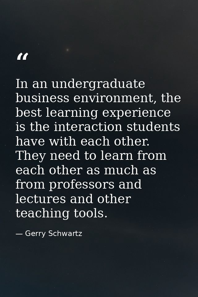 In an undergraduate business environment, the best learning experience is the interaction students have with each other. — Gerry Schwartz
