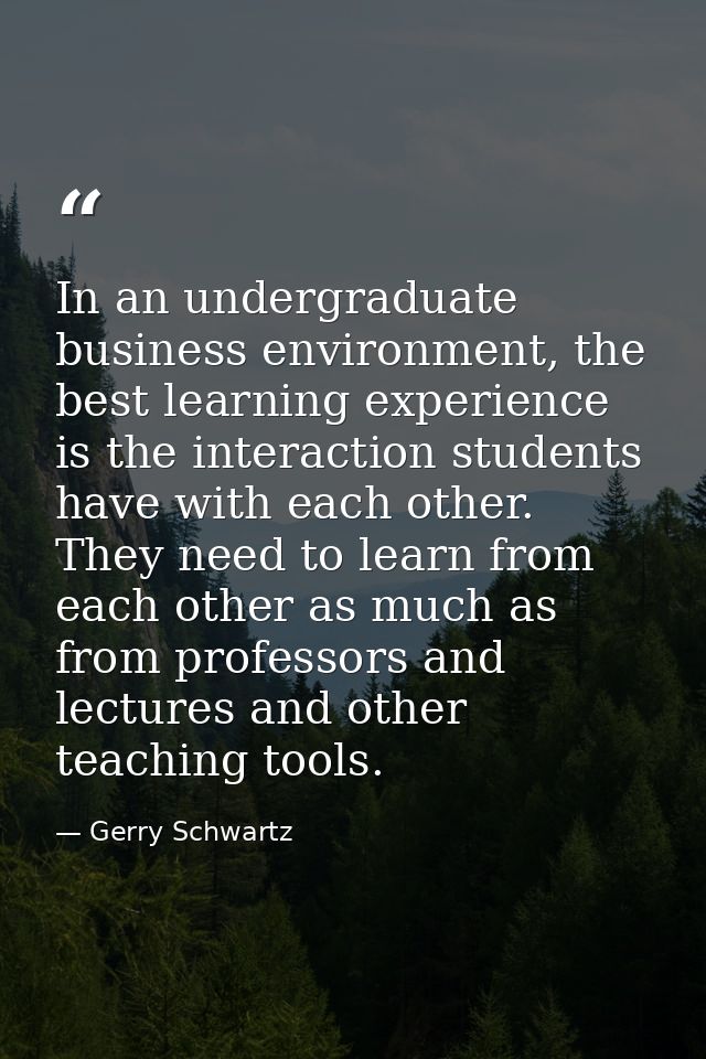 In an undergraduate business environment, the best learning experience is the interaction students have with each other. — Gerry Schwartz