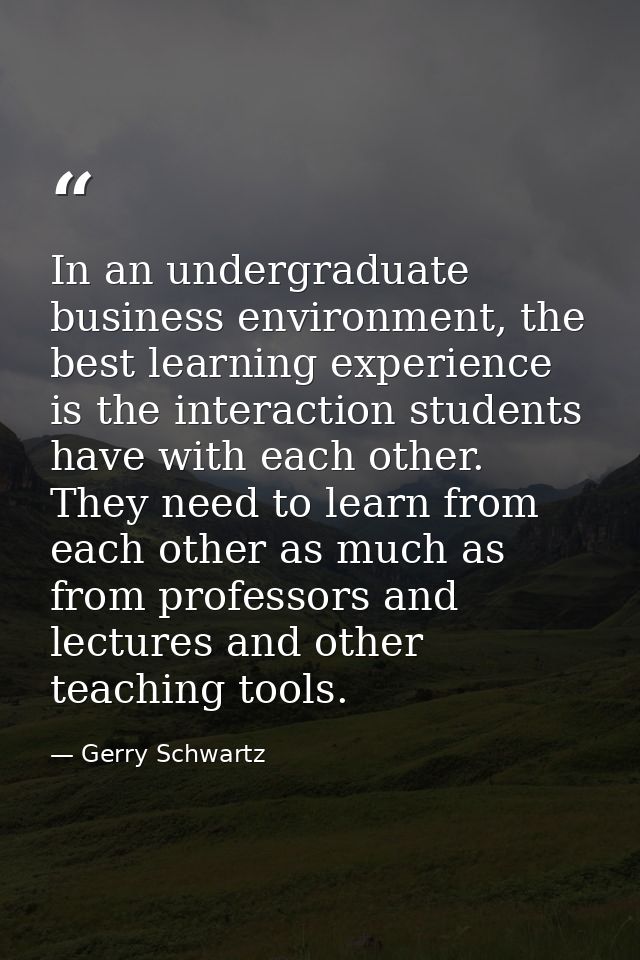 In an undergraduate business environment, the best learning experience is the interaction students have with each other. — Gerry Schwartz