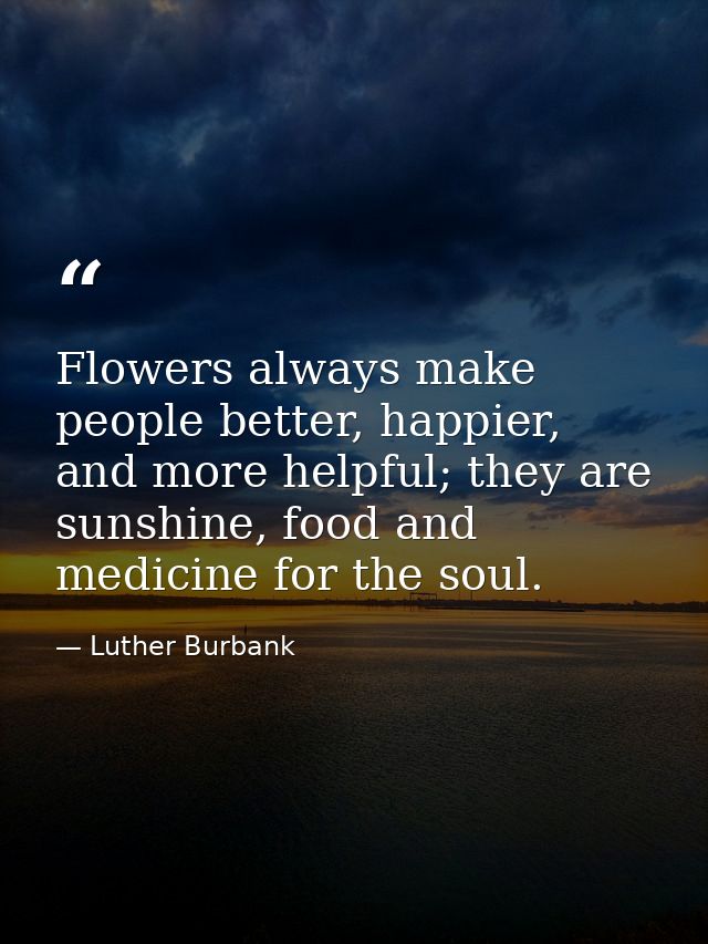 Flowers always make people better, happier, and more helpful; they are sunshine, food and medicine for the soul. — Luther Burbank