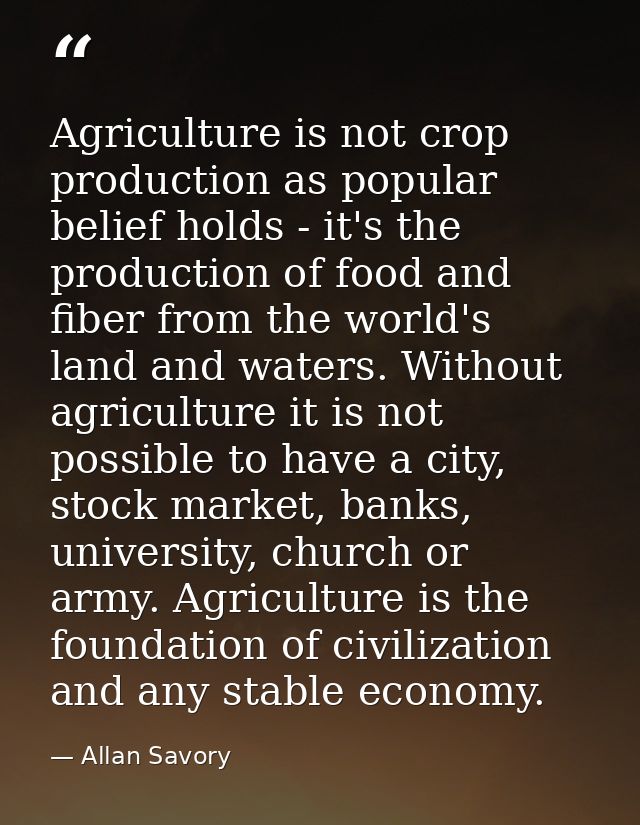 Agriculture is not crop production as popular belief holds - it's the production of food and fiber from the world's land — Allan Savory