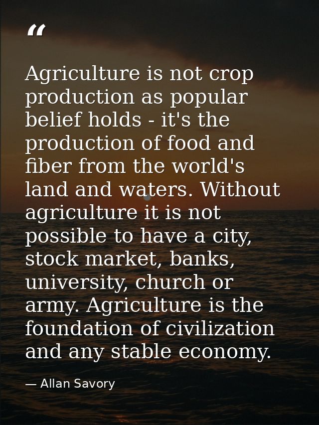 Agriculture is not crop production as popular belief holds - it's the production of food and fiber from the world's land — Allan Savory