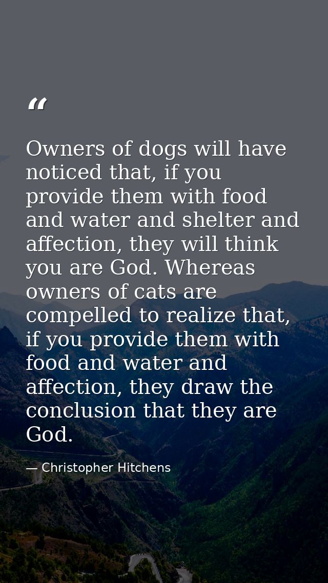 Owners of dogs will have noticed that, if you provide them with food and water and shelter and affection, they will thin — Christopher Hitchens