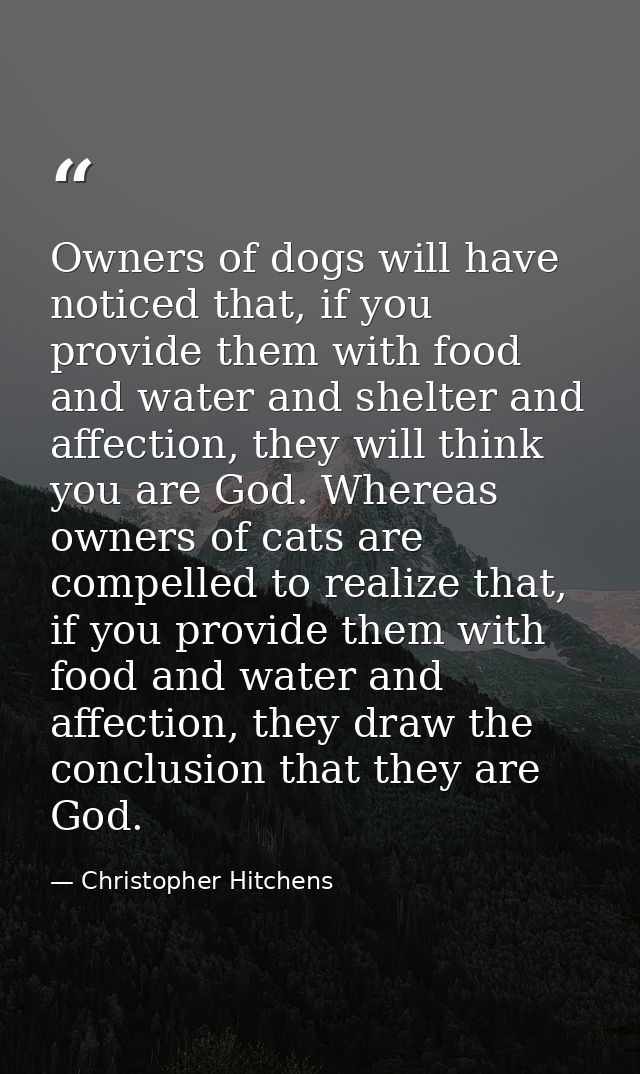 Owners of dogs will have noticed that, if you provide them with food and water and shelter and affection, they will thin — Christopher Hitchens