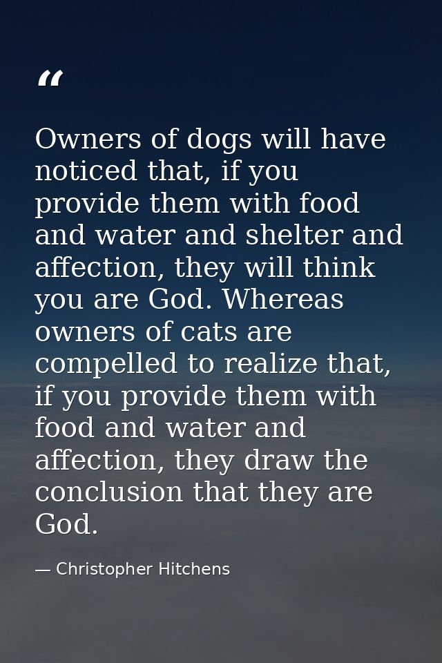Owners of dogs will have noticed that, if you provide them with food and water and shelter and affection, they will thin — Christopher Hitchens