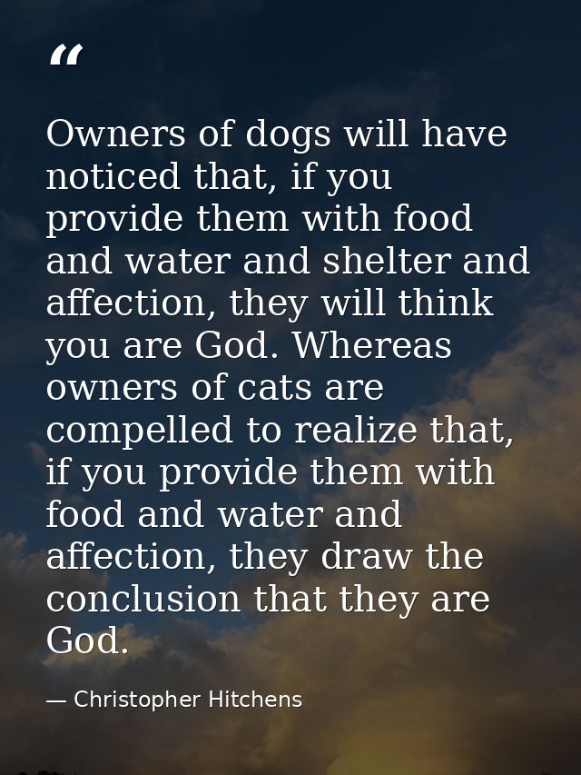 Owners of dogs will have noticed that, if you provide them with food and water and shelter and affection, they will thin — Christopher Hitchens