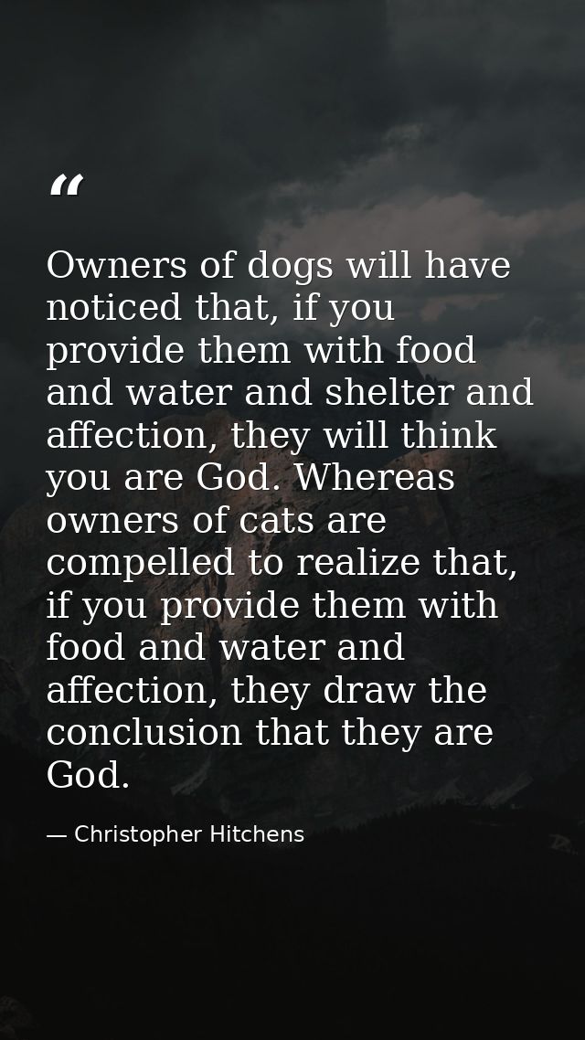 Owners of dogs will have noticed that, if you provide them with food and water and shelter and affection, they will thin — Christopher Hitchens