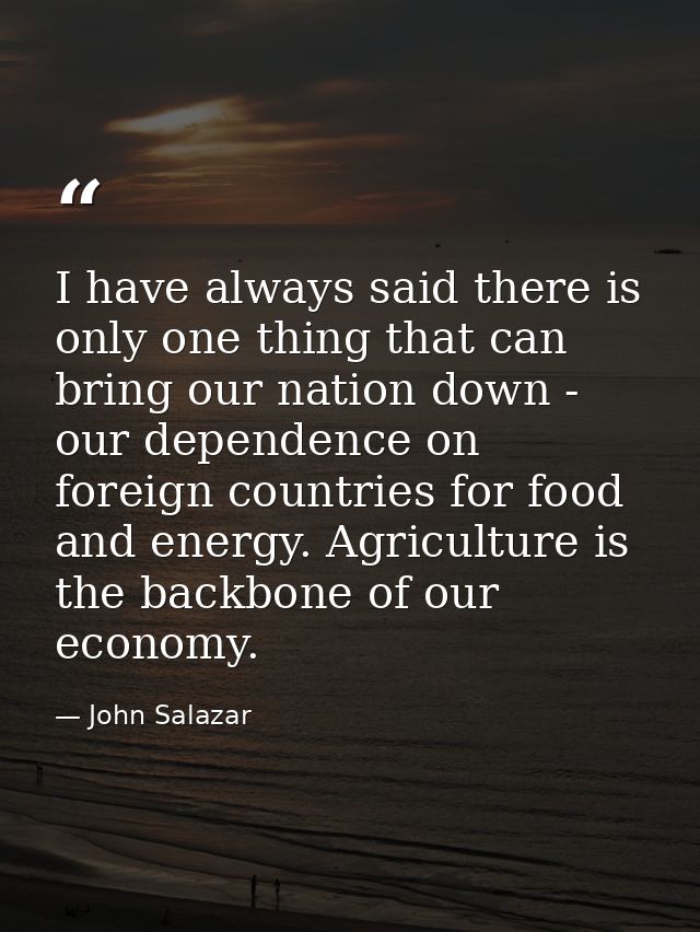I have always said there is only one thing that can bring our nation down - our dependence on foreign countries for food — John Salazar