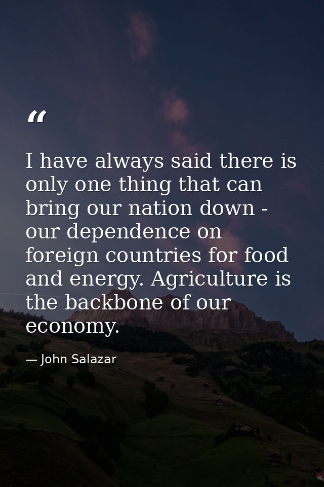 I have always said there is only one thing that can bring our nation down - our dependence on foreign countries for food — John Salazar