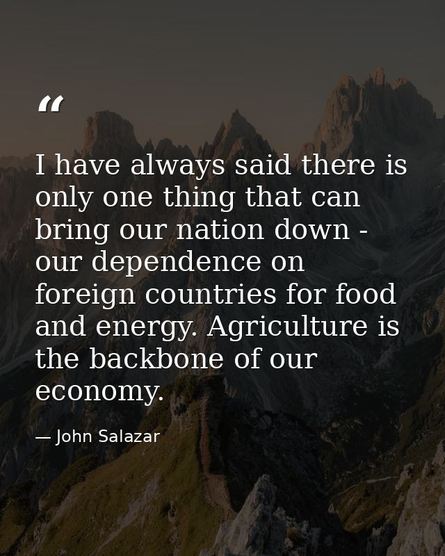 I have always said there is only one thing that can bring our nation down - our dependence on foreign countries for food — John Salazar