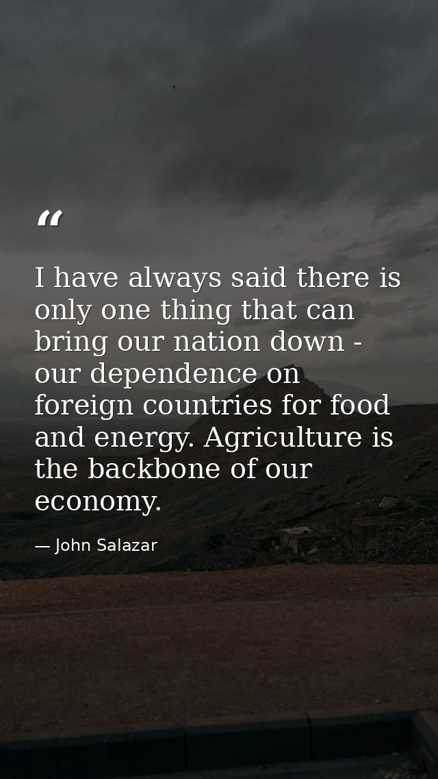 I have always said there is only one thing that can bring our nation down - our dependence on foreign countries for food — John Salazar