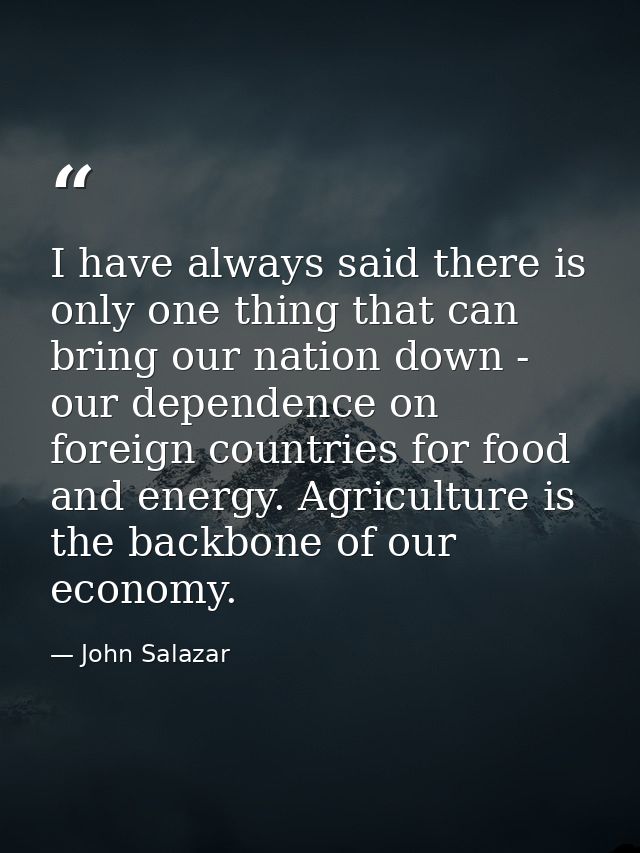 I have always said there is only one thing that can bring our nation down - our dependence on foreign countries for food — John Salazar