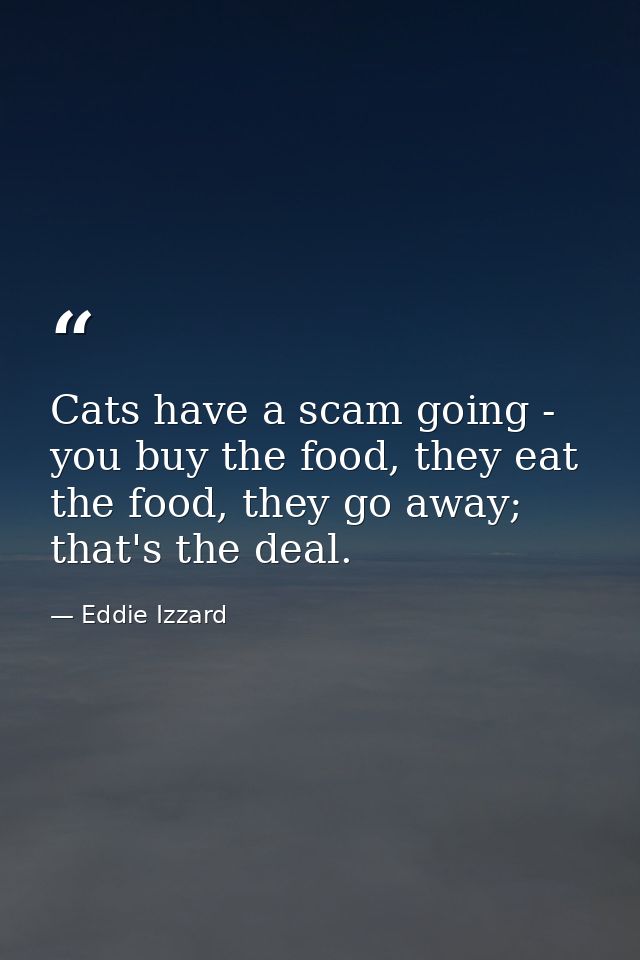 Cats have a scam going - you buy the food, they eat the food, they go away; that's the deal. — Eddie Izzard