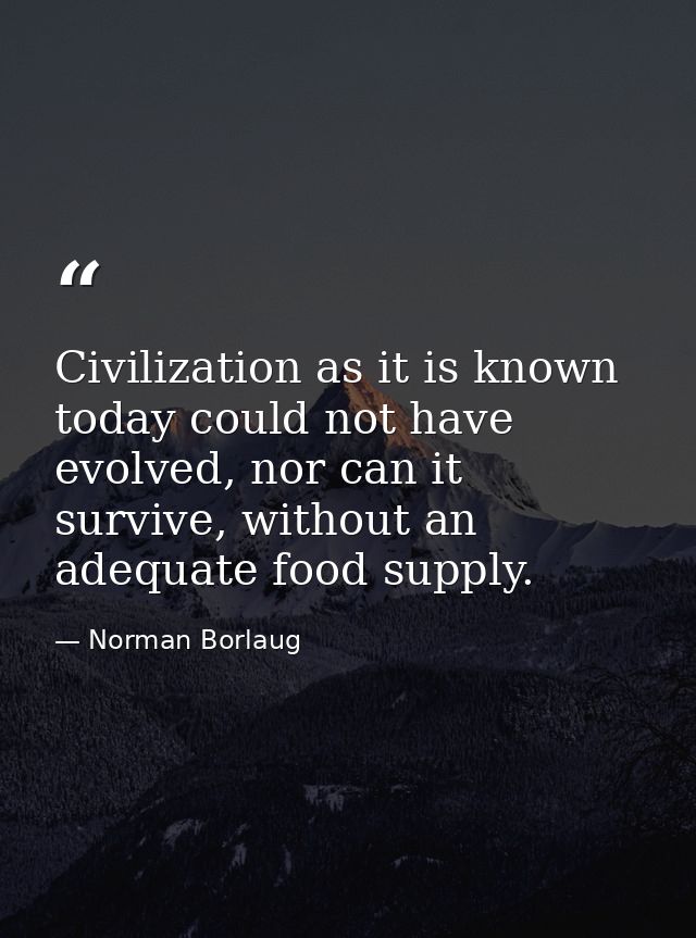 Civilization as it is known today could not have evolved, nor can it survive, without an adequate food supply. — Norman Borlaug