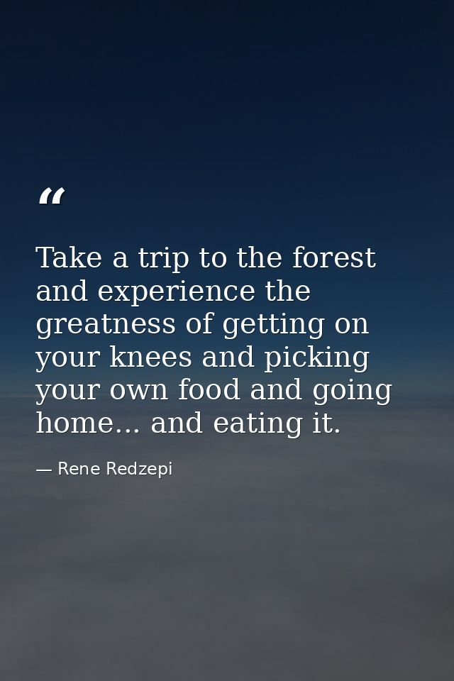 Take a trip to the forest and experience the greatness of getting on your knees and picking your own food and going home — Rene Redzepi