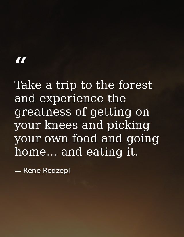 Take a trip to the forest and experience the greatness of getting on your knees and picking your own food and going home — Rene Redzepi