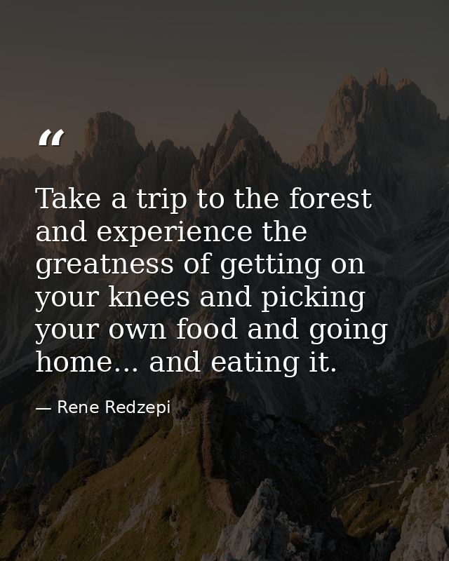 Take a trip to the forest and experience the greatness of getting on your knees and picking your own food and going home — Rene Redzepi