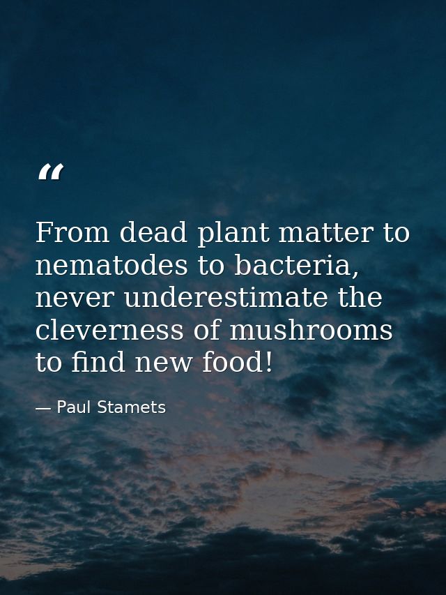 From dead plant matter to nematodes to bacteria, never underestimate the cleverness of mushrooms to find new food! — Paul Stamets