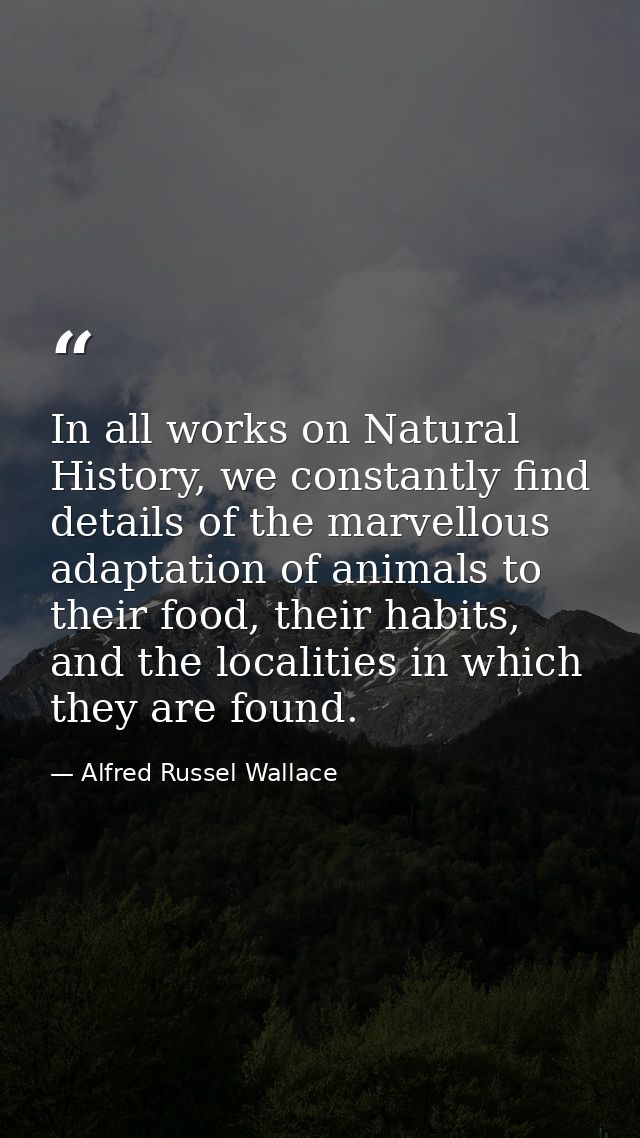 In all works on Natural History, we constantly find details of the marvellous adaptation of animals to their food, their — Alfred Russel Wallace