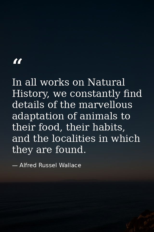 In all works on Natural History, we constantly find details of the marvellous adaptation of animals to their food, their — Alfred Russel Wallace