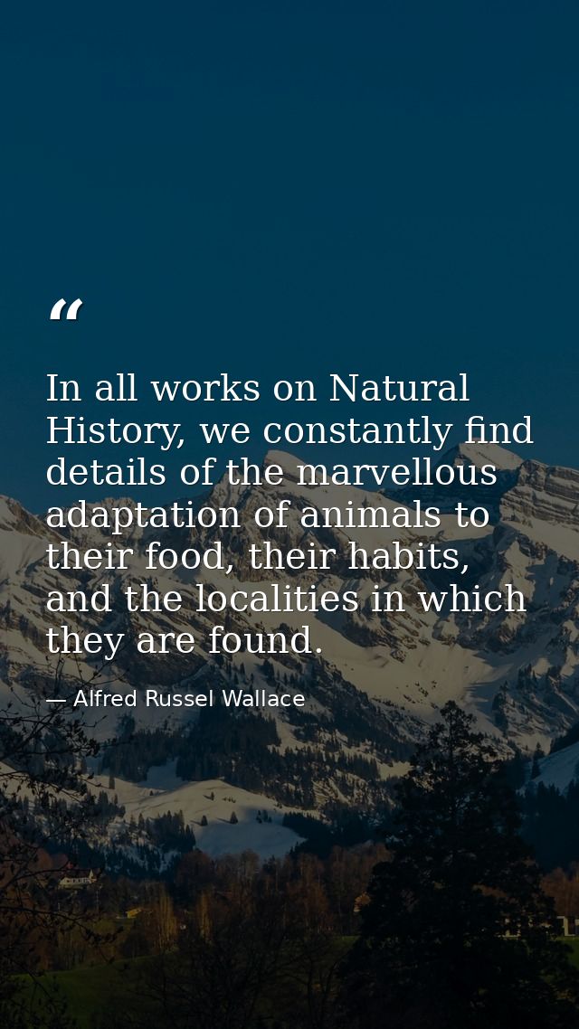 In all works on Natural History, we constantly find details of the marvellous adaptation of animals to their food, their — Alfred Russel Wallace