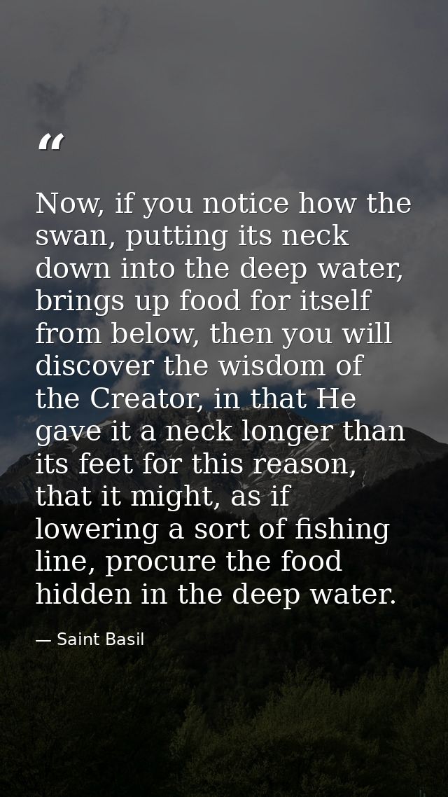 Now, if you notice how the swan, putting its neck down into the deep water, brings up food for itself from below, then y — Saint Basil