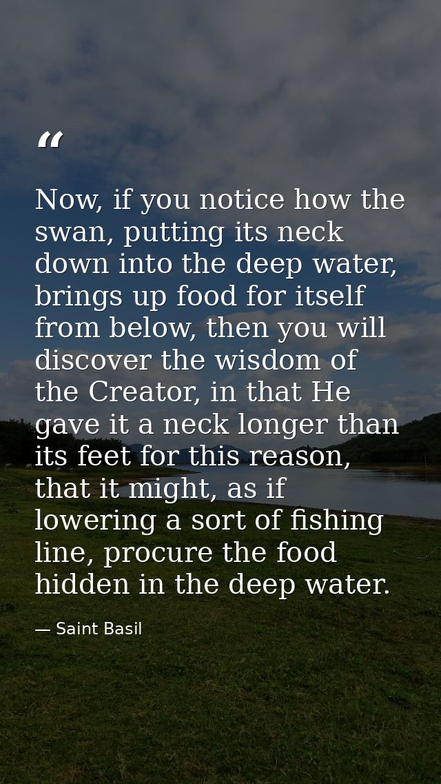 Now, if you notice how the swan, putting its neck down into the deep water, brings up food for itself from below, then y — Saint Basil