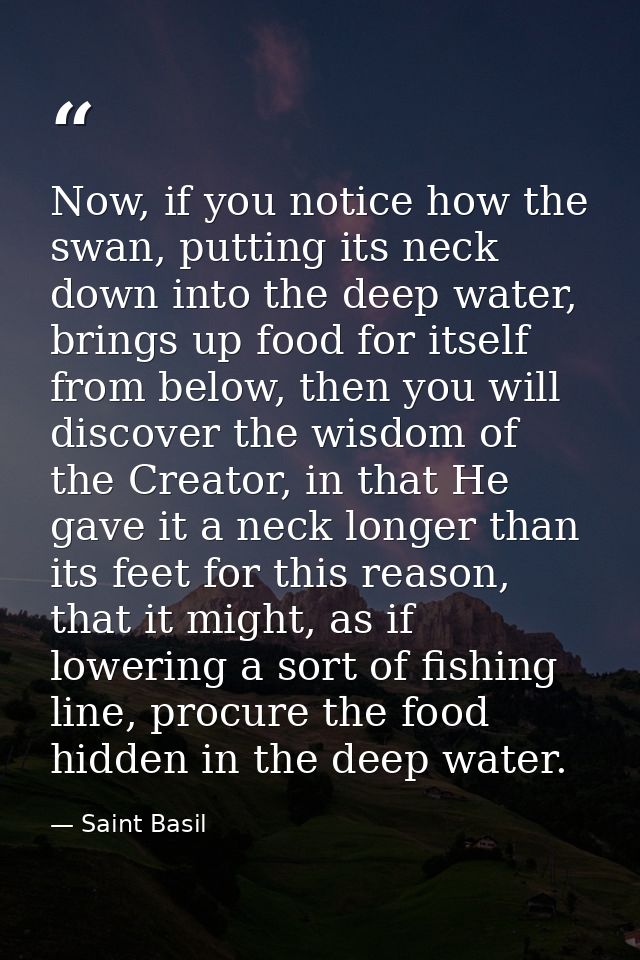 Now, if you notice how the swan, putting its neck down into the deep water, brings up food for itself from below, then y — Saint Basil