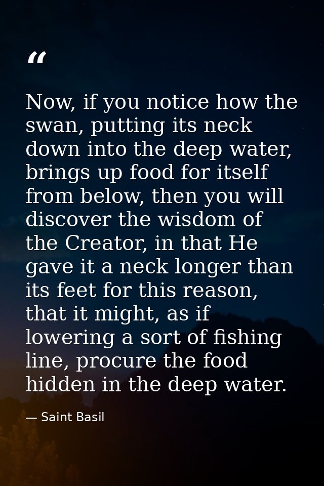 Now, if you notice how the swan, putting its neck down into the deep water, brings up food for itself from below, then y — Saint Basil