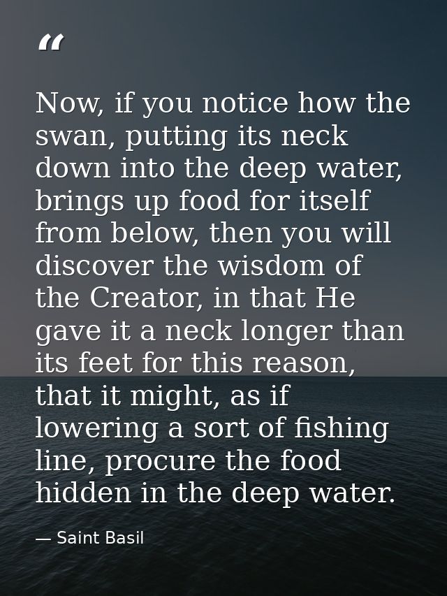 Now, if you notice how the swan, putting its neck down into the deep water, brings up food for itself from below, then y — Saint Basil