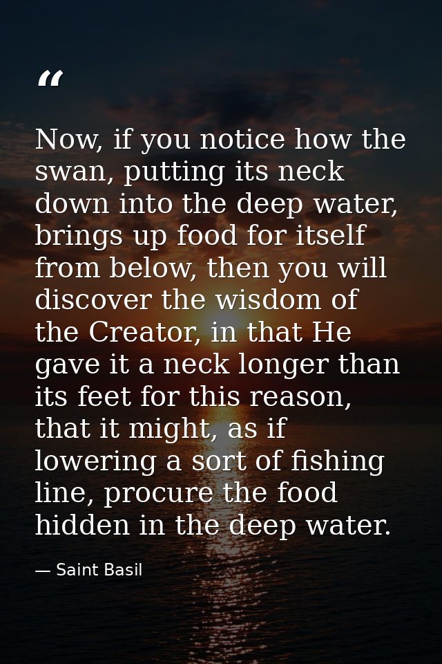 Now, if you notice how the swan, putting its neck down into the deep water, brings up food for itself from below, then y — Saint Basil