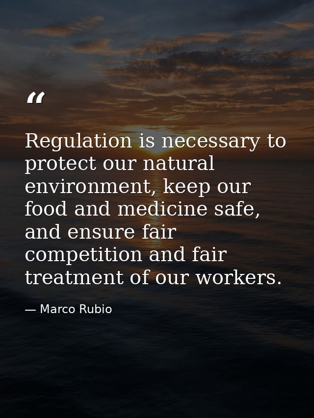 Regulation is necessary to protect our natural environment, keep our food and medicine safe, and ensure fair competition — Marco Rubio