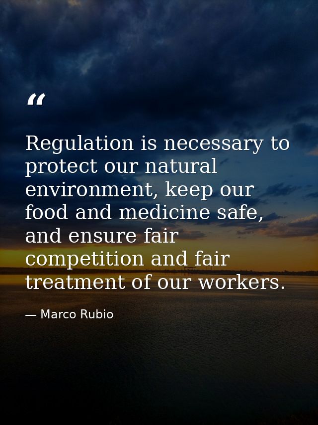 Regulation is necessary to protect our natural environment, keep our food and medicine safe, and ensure fair competition — Marco Rubio