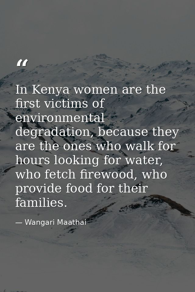 In Kenya women are the first victims of environmental degradation, because they are the ones who walk for hours looking  — Wangari Maathai