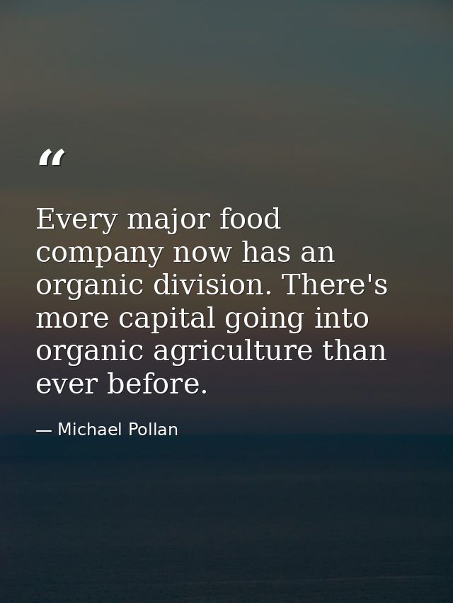Every major food company now has an organic division. There's more capital going into organic agriculture than ever befo — Michael Pollan