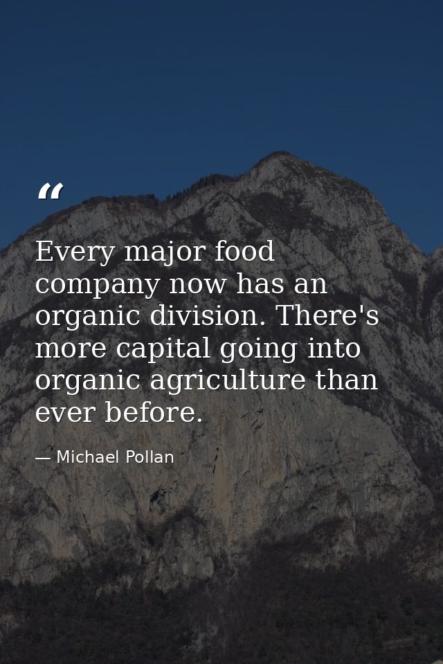 Every major food company now has an organic division. There's more capital going into organic agriculture than ever befo — Michael Pollan