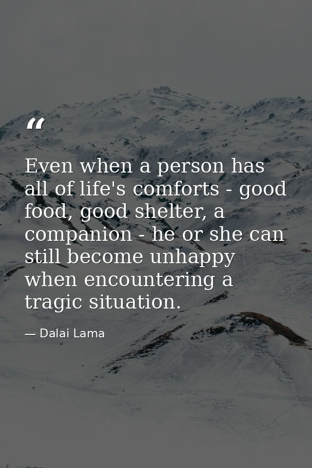 Even when a person has all of life's comforts - good food, good shelter, a companion - he or she can still become unhapp — Dalai Lama