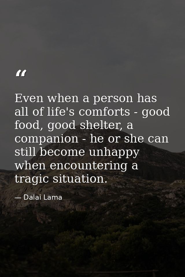 Even when a person has all of life's comforts - good food, good shelter, a companion - he or she can still become unhapp — Dalai Lama