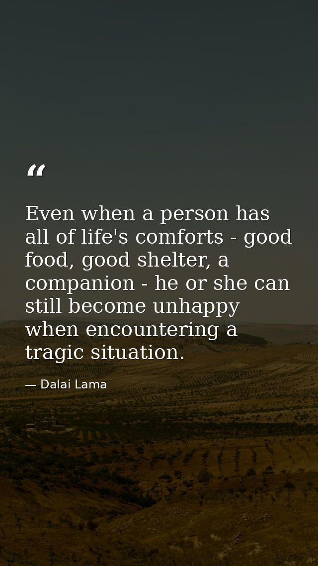 Even when a person has all of life's comforts - good food, good shelter, a companion - he or she can still become unhapp — Dalai Lama